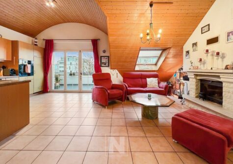 Cossonay superbe duplex