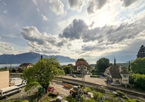 Joli 3,5 pièces avec vue sur le lac
