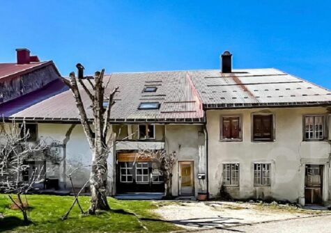 Ancienne ferme rénovée + appartement neuf séparé