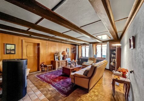 Ancienne ferme rénovée + appartement neuf séparé