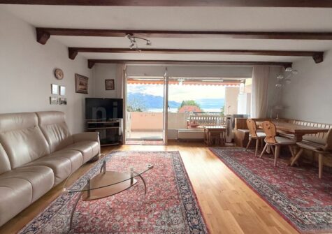 Joli 3,5 pièces avec vue sur le lac