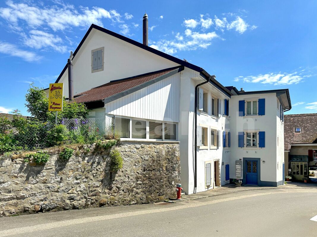 Loft complètement rénovée à Concise