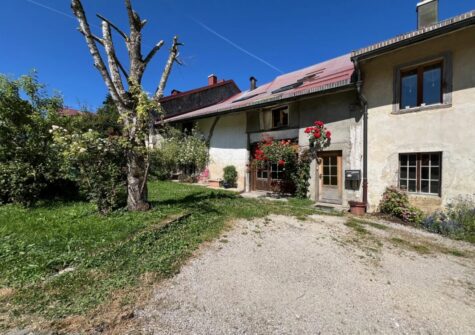 Ancienne ferme rénovée + appartement neuf séparé