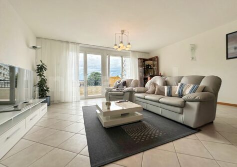 Magnifique appartement triplex à Renens